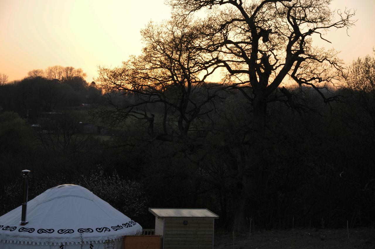Готель Glamping On The Hill Mells Екстер'єр фото